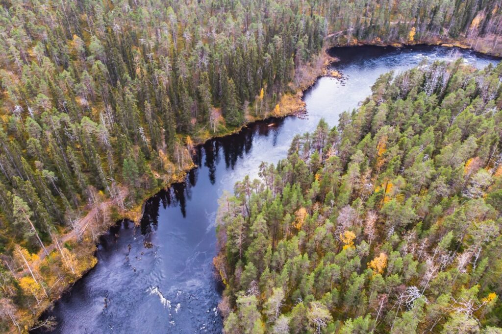 Oulanka Nationaal Park landschap in Finland