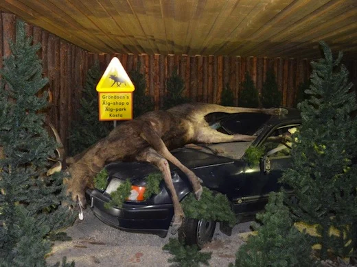 Zweden-Kosta-elandenpark-verkeer