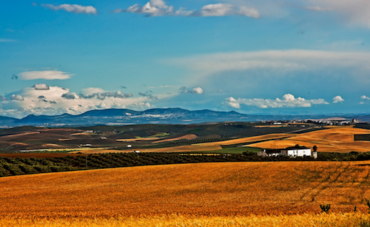 Foto: Ricardo Fernandez