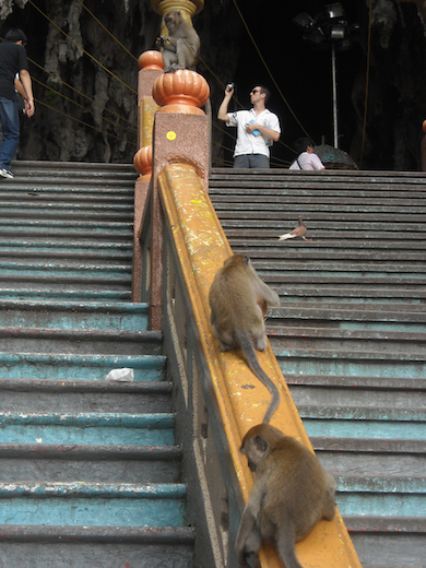 apen batu caves