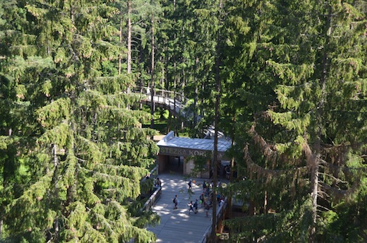 boomkroonpad-lipno-tsjechie