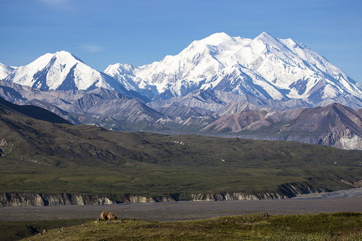 denali national park