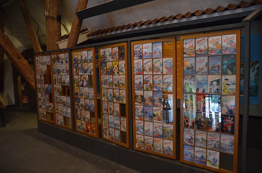 kameleon-terherne-boekenwand