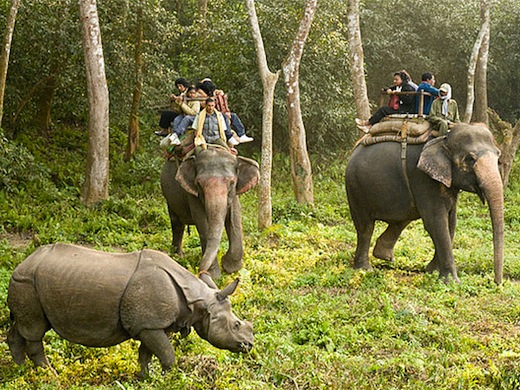 Foto: Gijs Bekenkamp