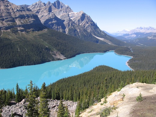 Peyto Lake in Banff National Park.