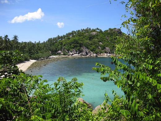 shark-bay-koh-tao-thailand
