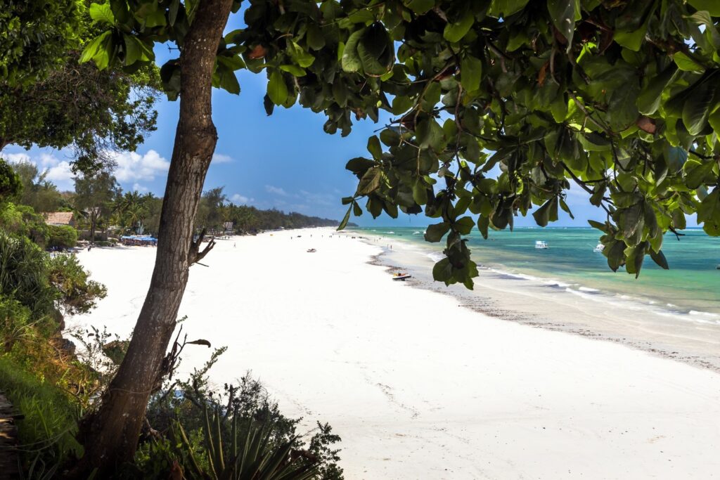Diani strand