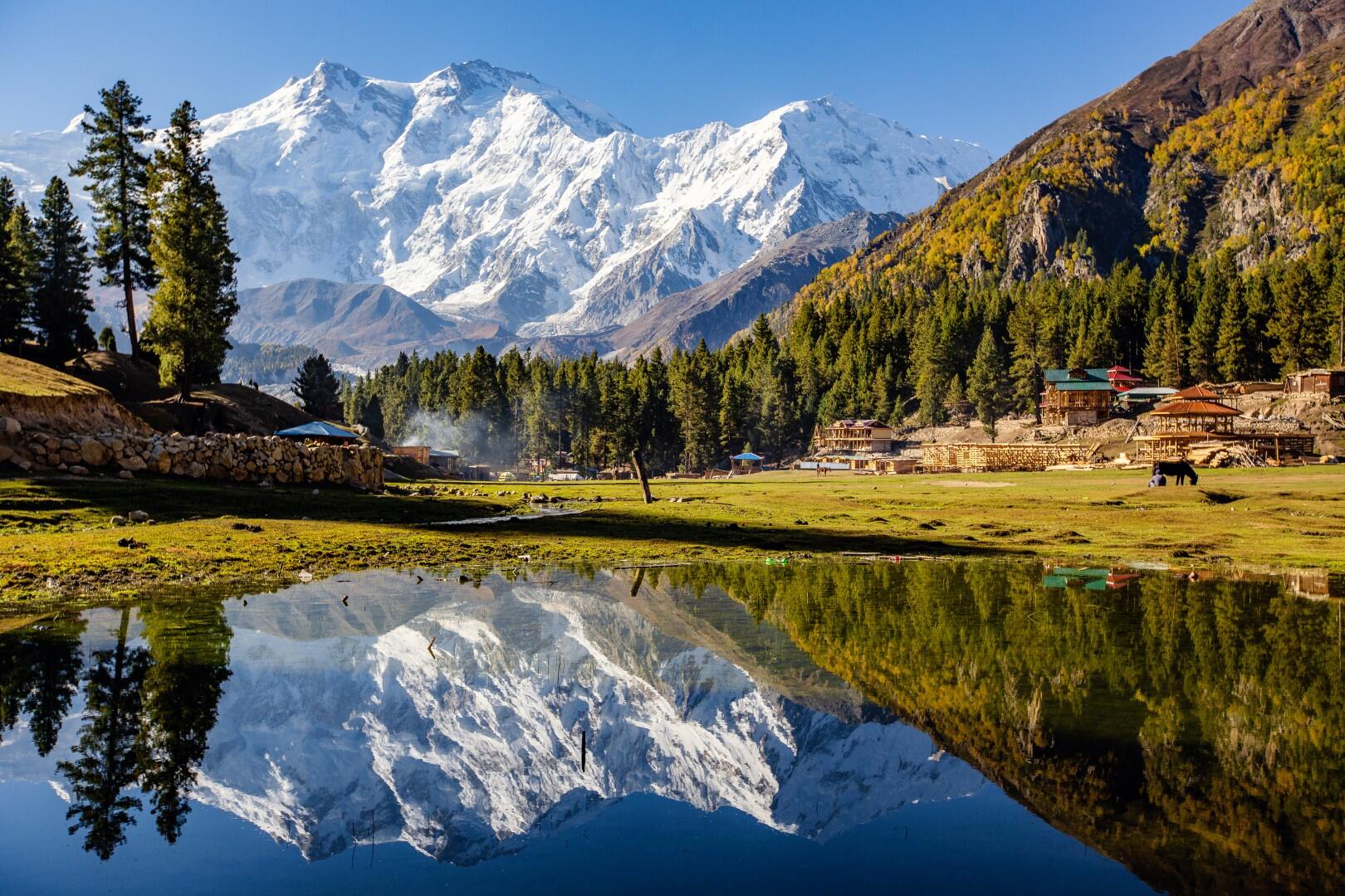 Fairy Meadows
