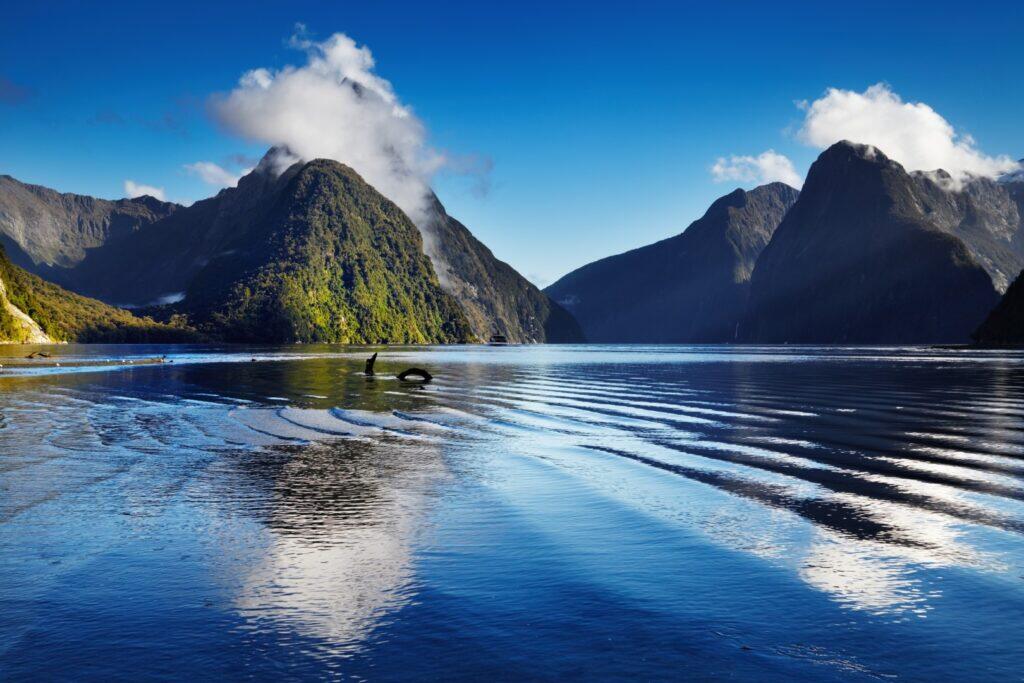 Milford Sound