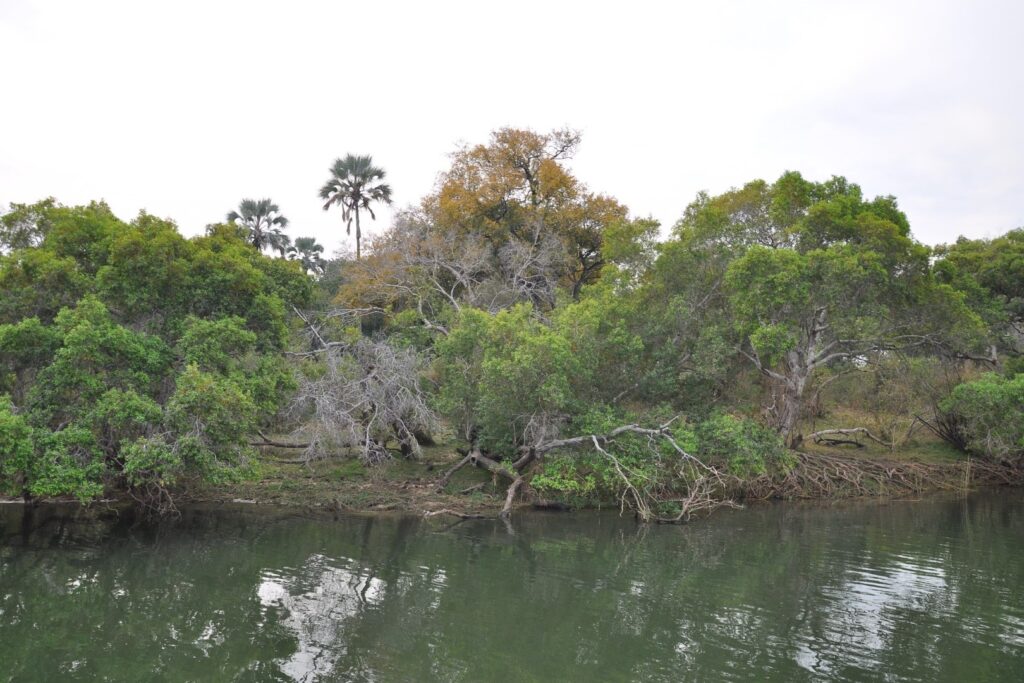 Lower Zambezi National Park