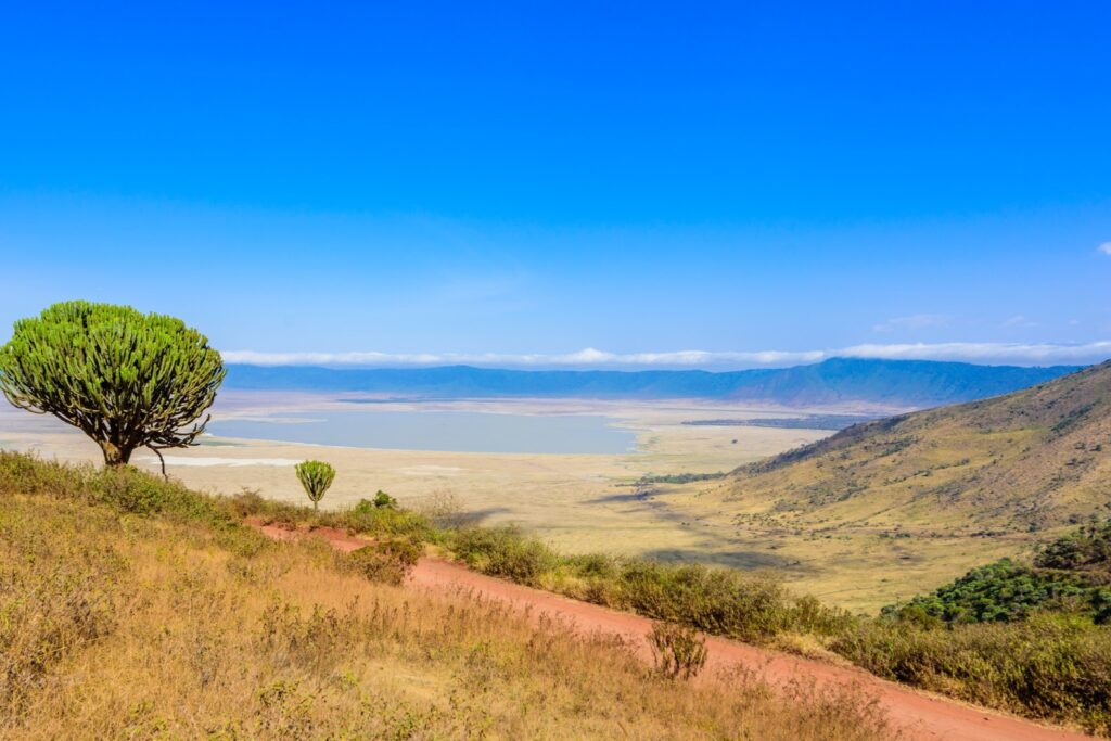 Ngorongoro-krater